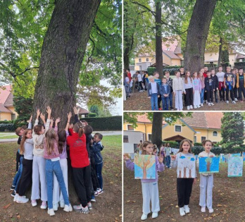 Festival stabla u I. osnovnoj školi Varaždin